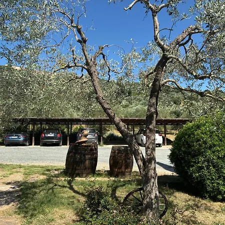 Nonna Nara Grosseto
