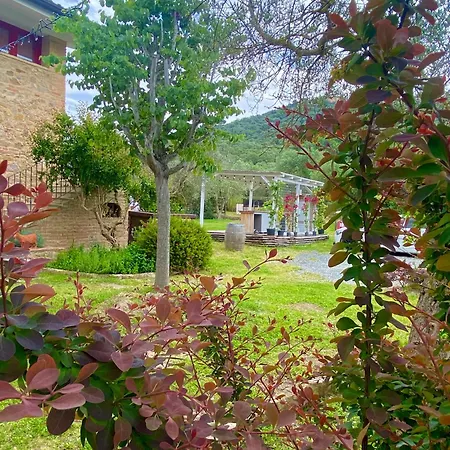 Nonna Nara Bed & Breakfast Grosseto