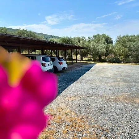 Nonna Nara Bed & Breakfast Grosseto